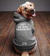 1 grey Pet Hoodie white I GET US INTO TROUBLES #color_grey