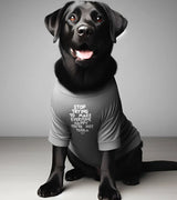 1 grey Pet T-Shirt white STOP TRYING TO MAKE EVERYONE HAPPY YOU'RE NOT TEQUILA #color_grey