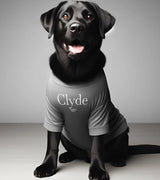 1 grey Pet T-Shirt white clyde #color_grey