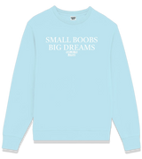 1 lightblue Sweatshirt white SMALL BOOBS BIG DREAMS #color_lightblue