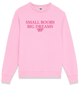 1 pink Sweatshirt fuchsia SMALL BOOBS BIG DREAMS #color_pink