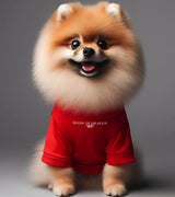 1 red Pet T-Shirt white made in heaven #color_red