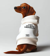 1 white Pet Hoodie black I GET US INTO TROUBLES #color_white