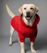 3 red Pet Hoodie Front #color_red