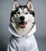 3 white Pet Hoodie Front #color_white