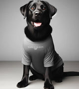 1 grey Pet T-Shirt white made in heaven #color_grey