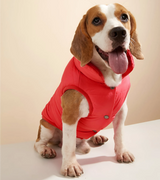 4 red pet jacket #color_red